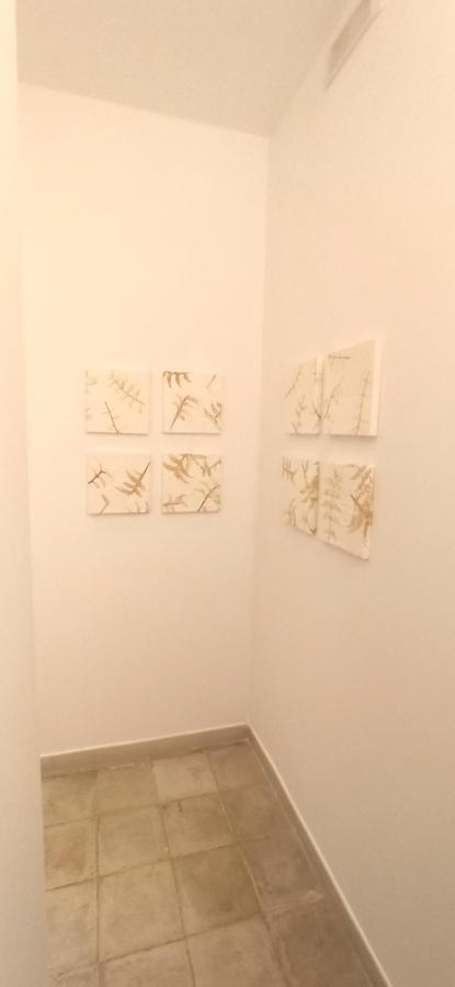 דירות בארי Casa Nella Pietra Viva מראה חיצוני תמונה